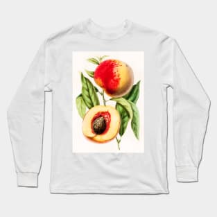 Hand drawn apricot peach Long Sleeve T-Shirt